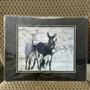 Fernley NV wild donkey mule 8x12 photo western southwestern wall decor print